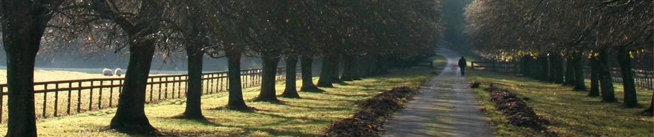 Wir sind die Gartenstadt